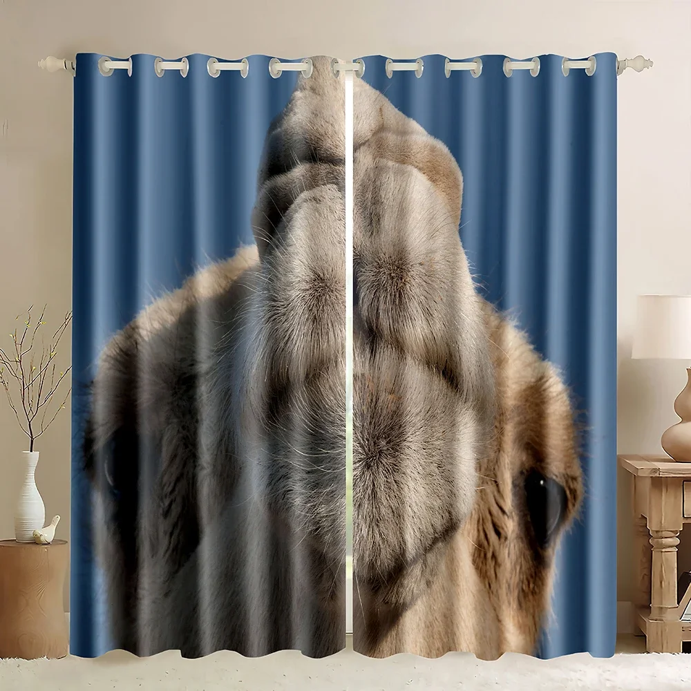 Camel Window Curtains,3D Afric - 3D Printing Cafe 评论和价格